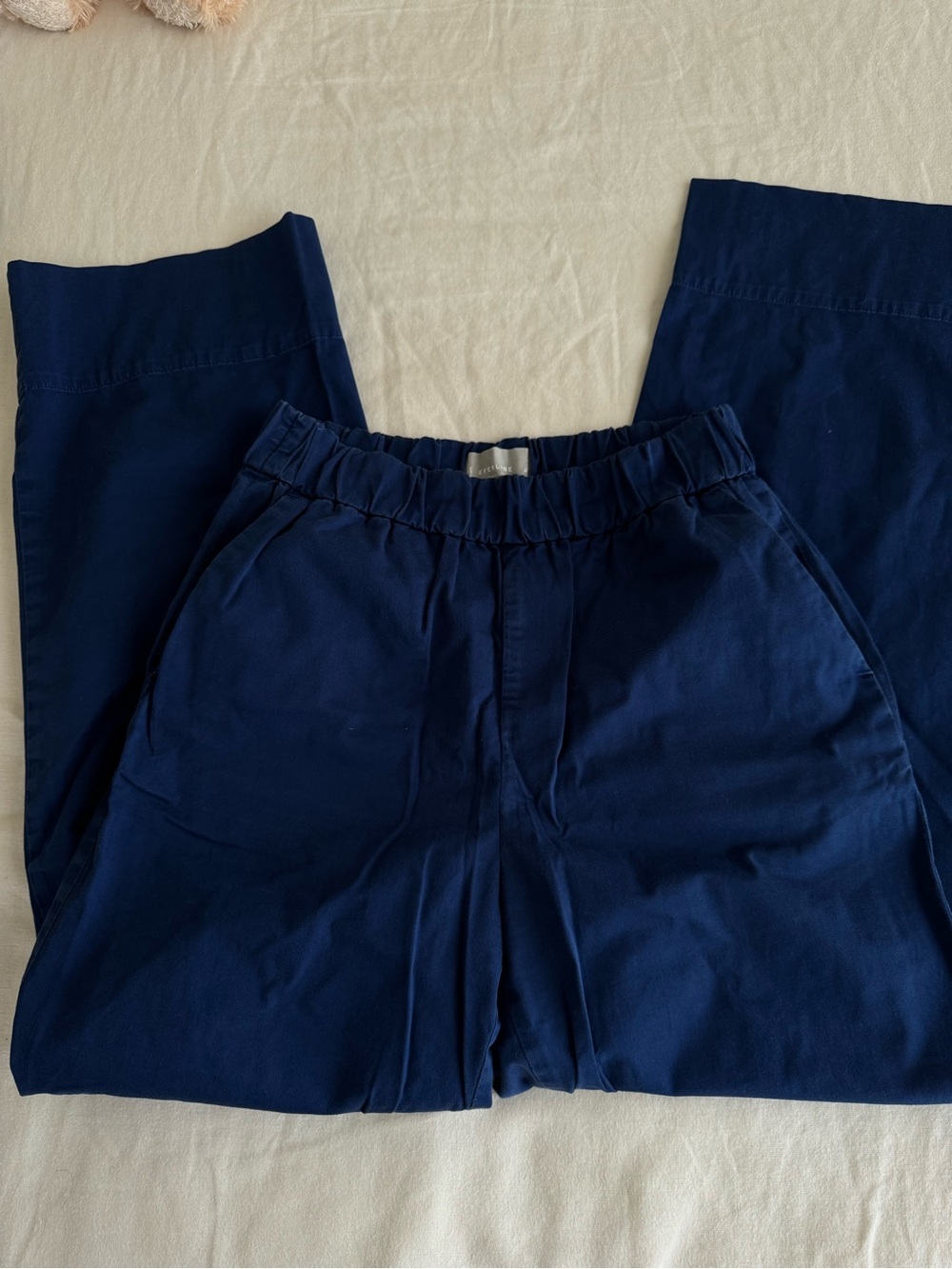 Everlane Wide Leg Pants